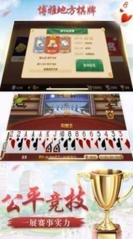 博雅地方棋牌   2