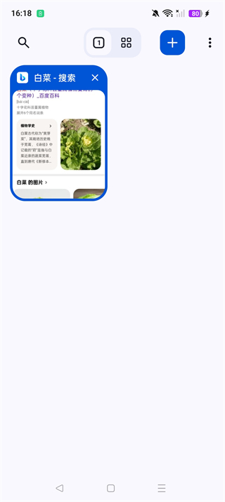 cromite 145.0.7632.120 安卓版 1