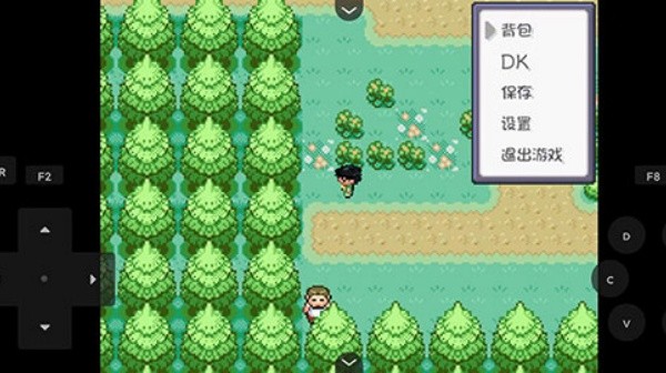 口袋妖怪燃之智5.0 1.0 最新版 2