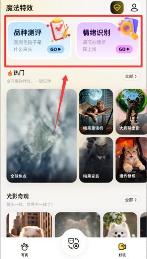 宠玩 1.8.6 安卓版 1