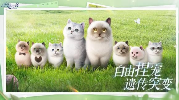 以闪亮之名国服 1.2.576 安卓版 3