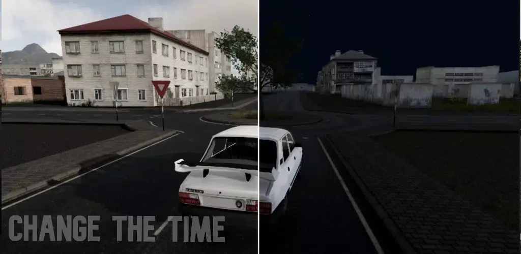 驾驶专家2 0.85 安卓版 2