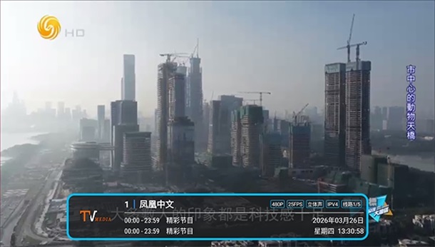低调tv 1.7.6.6_20251125_1958 最新版 4