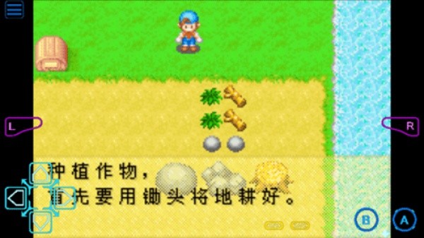 牧场物语男孩版 2.0.0 汉化版 3