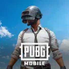 PUBGMOBILE国际服 4.3.0 安卓版 4