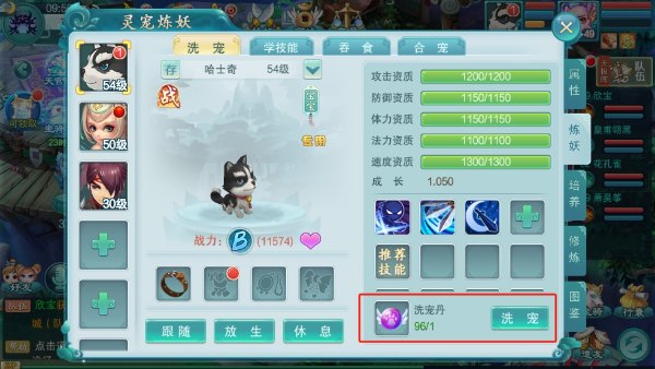 宠物怎么培养？