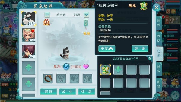 宠物怎么培养？