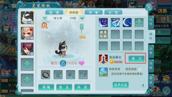 宠物怎么培养？