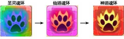 兽魂养成攻略