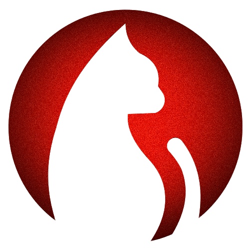 追剧猫视频 5.1.1 手机版