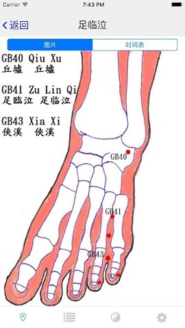 子午灵龟专业版 v2.3.1 最新版 3