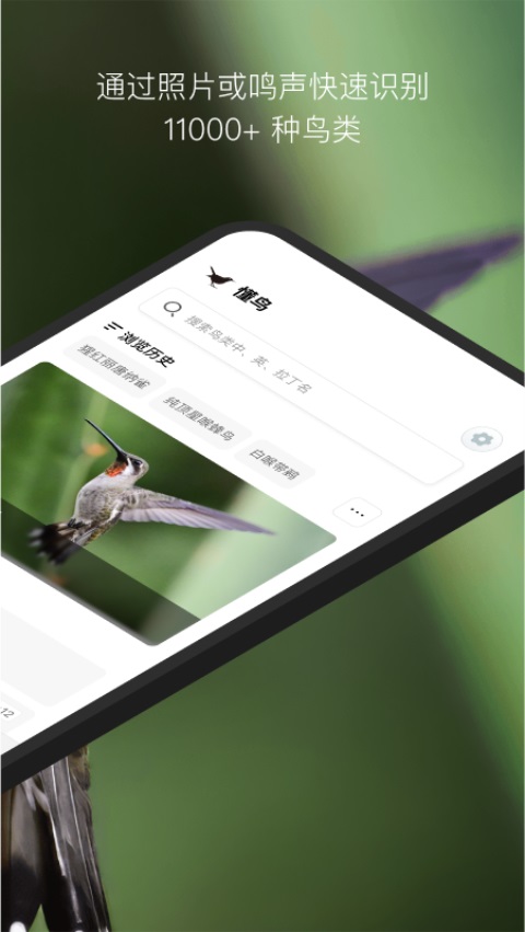 懂鸟 1.5.8 最新版 1
