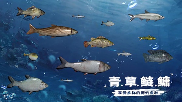 天天钓鱼正版 1.9 手机版 2