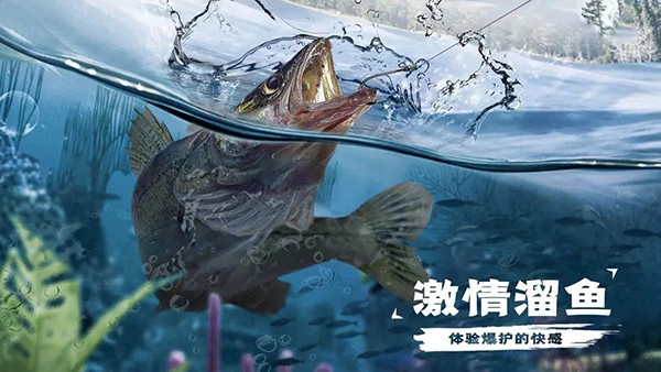 天天钓鱼正版 1.9 手机版 4