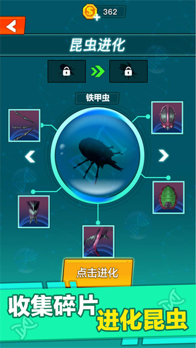 昆虫进化大乱斗 1.0 手机版 1