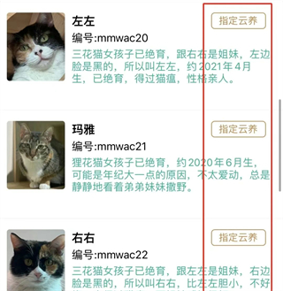 握爪app