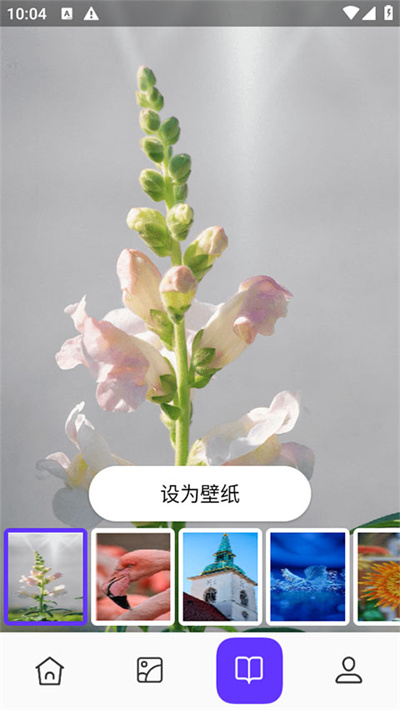 皮皮助手 1.0.5 安卓版 3