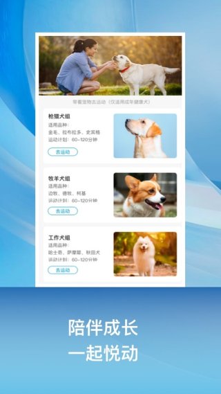 小兔乐跑 1.3.2 手机版 1