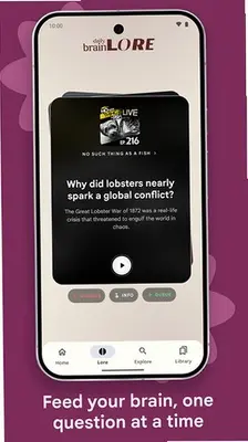 boxlore 0.0.18 手机版 1