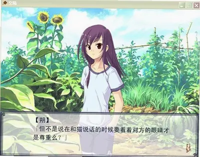 空陆 v1.0 完整版 2