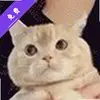 小璐连点器 1.9.7 最新版