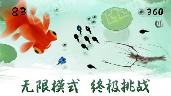 鱼戏荷塘 1 免费版 1