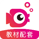 鲤鱼辅导app下载-鲤鱼辅导app官方版