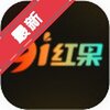 91红果 7.3.7.32 手机版