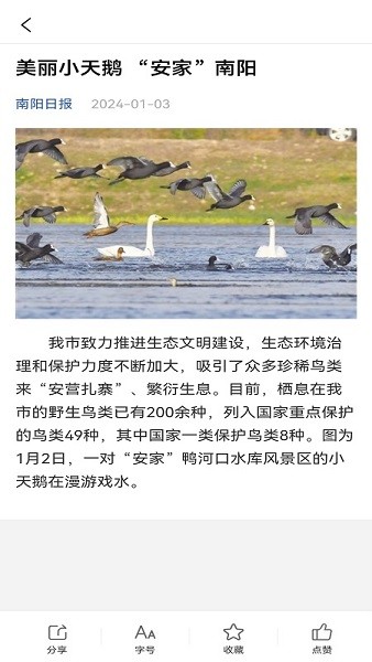 南阳政务服务平台 1.1 最新版 3